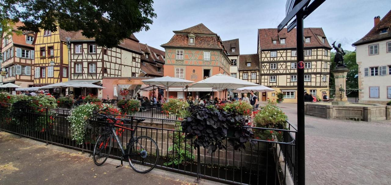 Le Green St Leon : Lit Queen Size * Wifi * Ideal Couple Кольмар Экстерьер фото